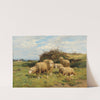Sheep in a meadow by Cornelius van Leemputten