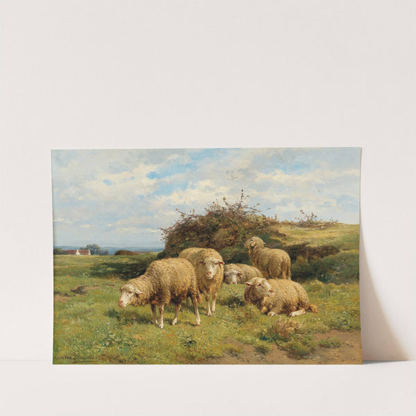 Sheep in a meadow by Cornelius van Leemputten