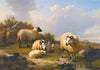 Sheep In A Scottish Landscape