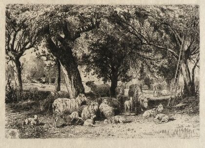 Sheep in an Orchard