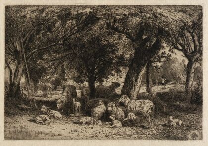 Sheep in an Orchard
