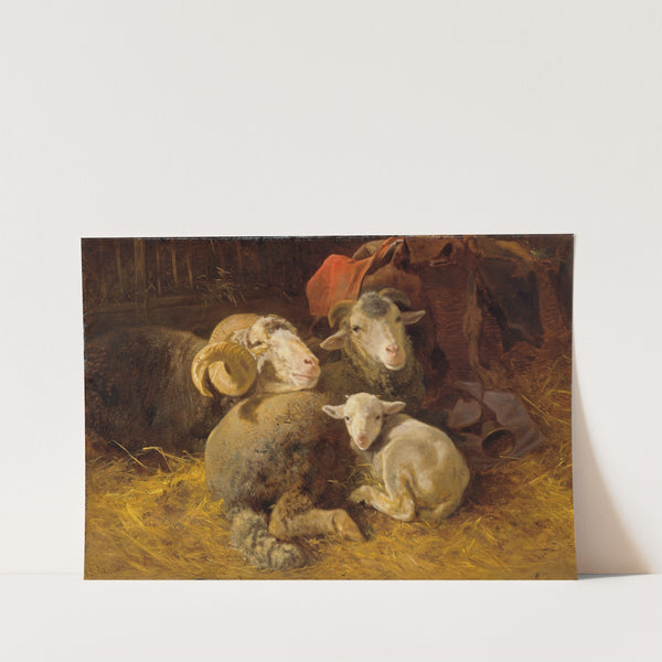 Sheep in the stable by Anton Schrödl