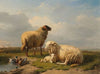 Sheep, Lamb and Ducks by a pond
