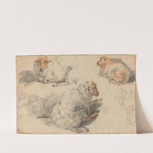 Sheep by Nicolaes Pietersz. Berchem