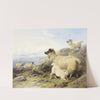 Sheep On A Mountainside by Richard Ansdell
