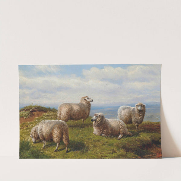 Sheep on the hill by Charles Jones