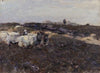Sheeps in Moorland (1901-1904)