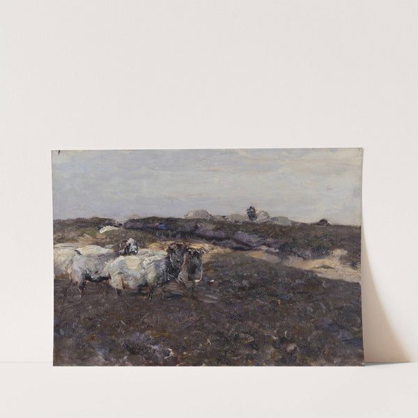 Sheeps in Moorland (1901-1904) by Heinrich Von Zügel