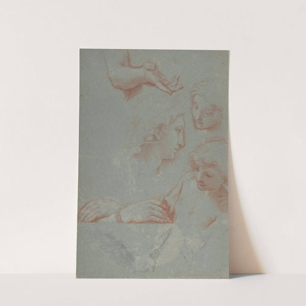 Sheet of Studies; Heads, Hands, and Doves by Luigi Garzi