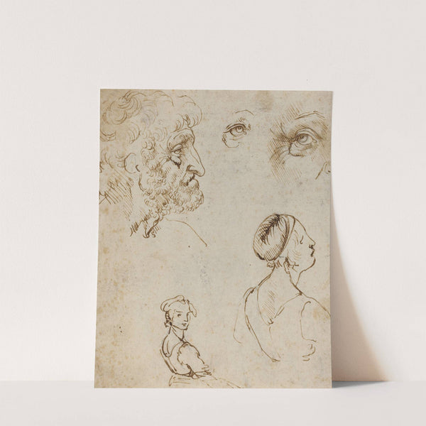 Sheet of Studies (1470-1480) by Leonardo da Vinci