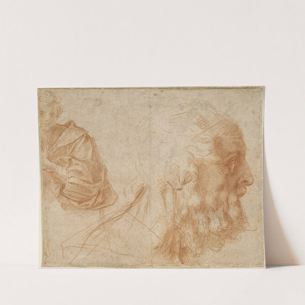 Sheet of studies with a youth and the head of an old man looking to the right (between 1520 and 1521) by Andrea del Sarto