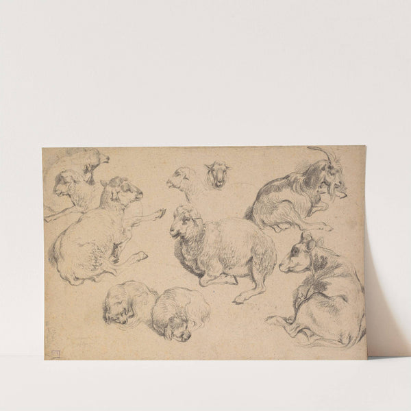 Sheet of Studies with Sheep, Goats, and Dogs by Jean-Baptiste Huet