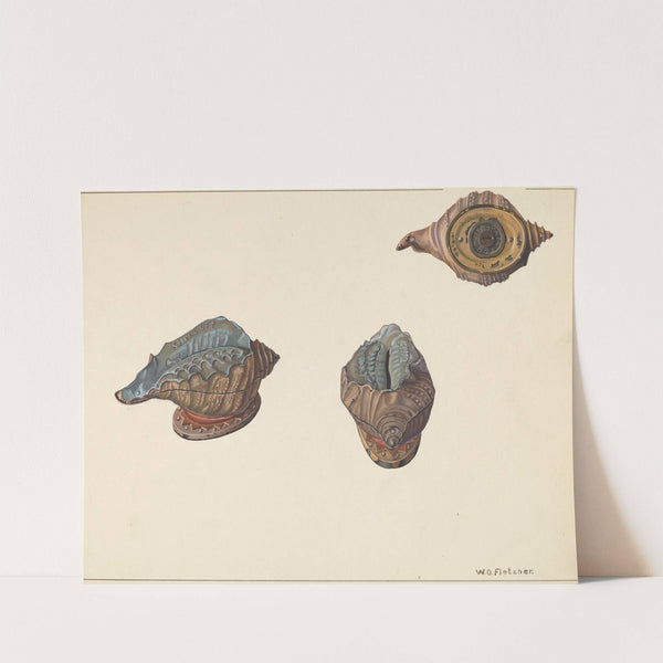 Shell Out Bank by William O. Fletcher