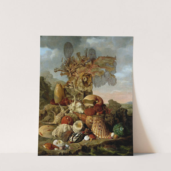 Shells and Marine Plants by Henricus Franciscus Wiertz