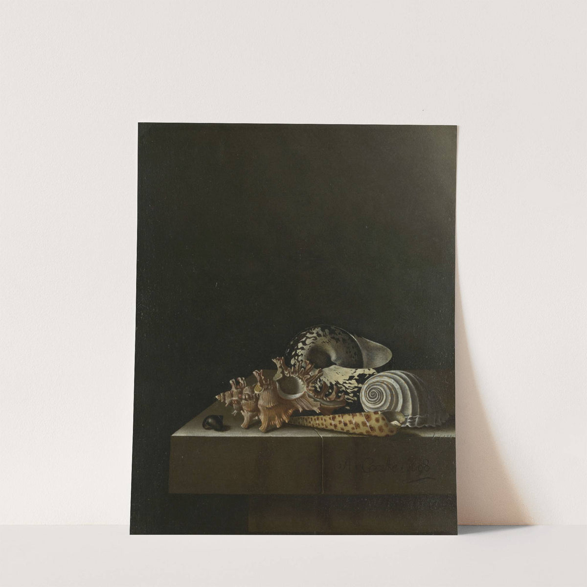Shells on a Stone Plinth by Adriaen Coorte