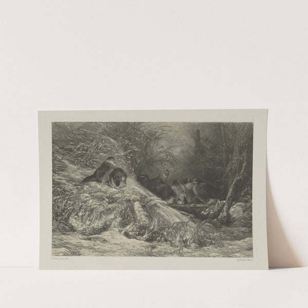 Sheltered from the frost by Karl Bodmer