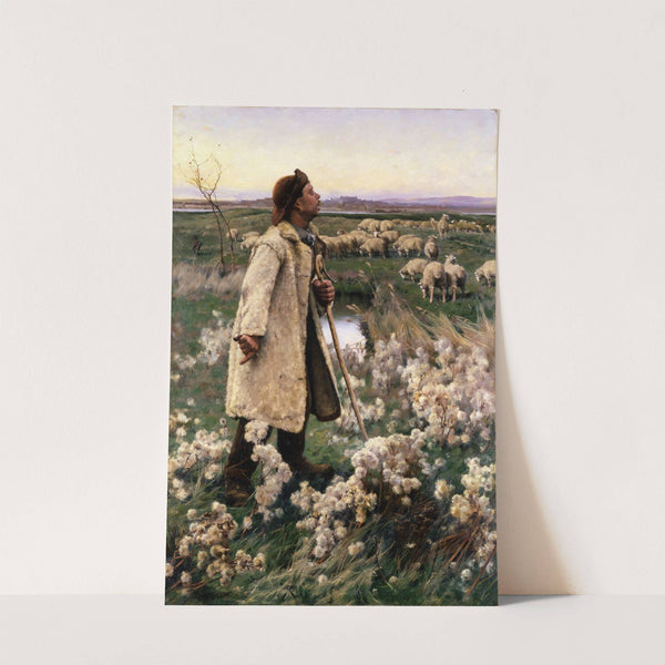 Shepherd by Ruger Donoho