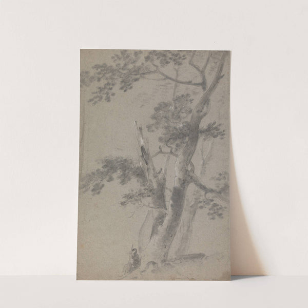 Shepherd Seated Under a Tree by Richard Wilson