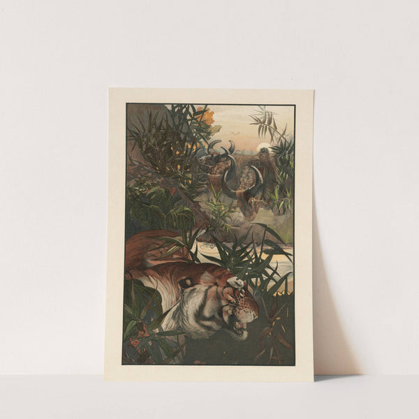 Shere Khan in jungle (1903) by Charles Maurice Detmold