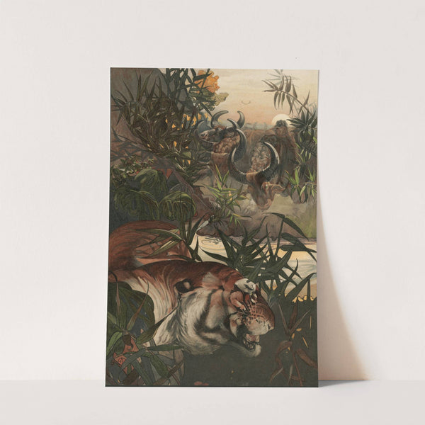 Shere Khan In Jungle by Charles Maurice Detmold