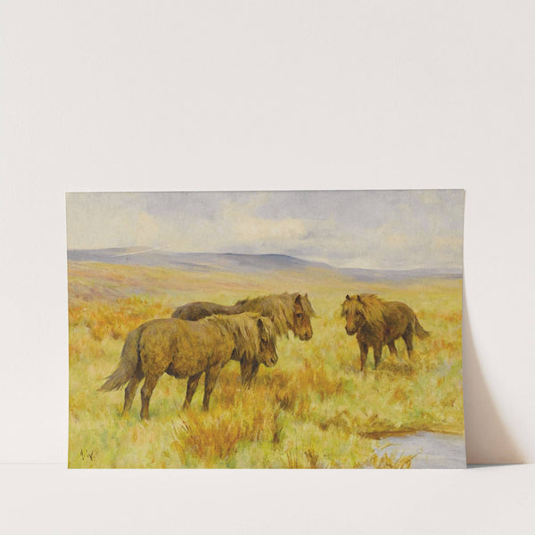 Shetland Ponies by Arthur Wardle