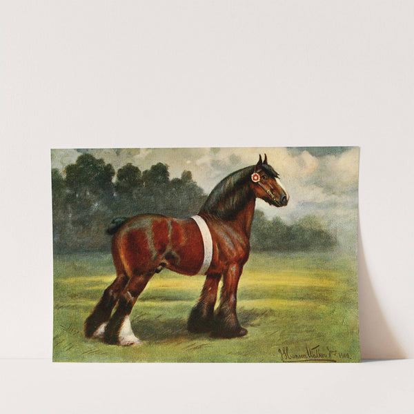 Shire Stallion, Halstead Royal Duke by John Hanson Walker Jr.