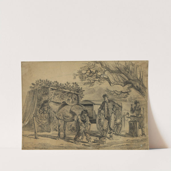 Shoeing a mule by Edwin Forbes