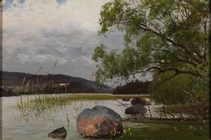Shore landscape
