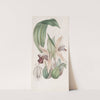 Showy Coelogyne by Sydenham Edwards