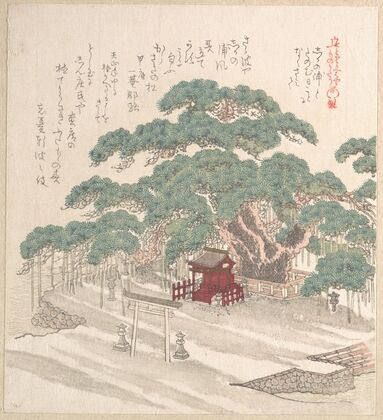 Shrine Under a Big Pine Tree