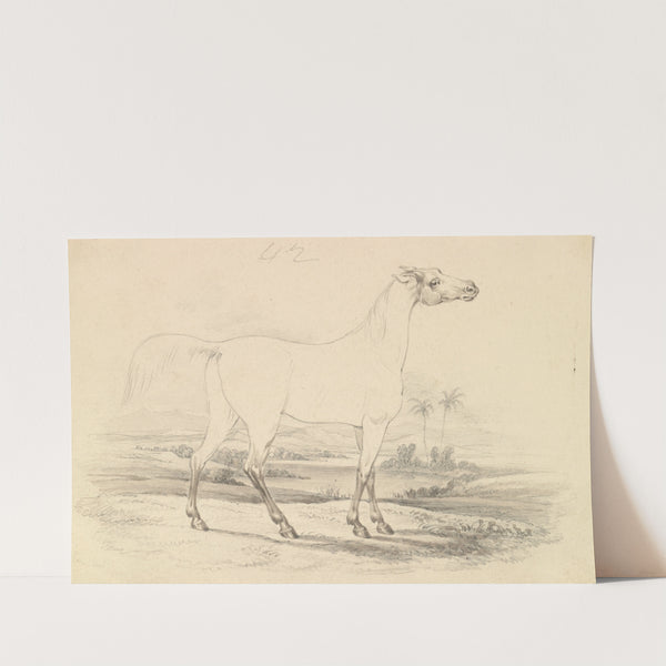 Shrubat-ur-Reech (1837) by Charles Hamilton Smith