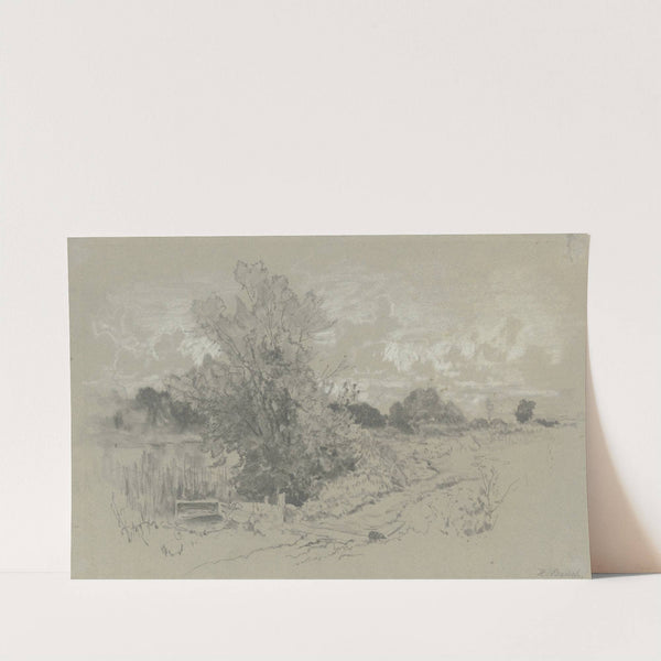 Shrubbery at a pond by Hermann Baisch