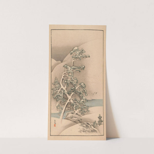 Shūbi gakan, Pl.05 by Nanbara Sakujirō