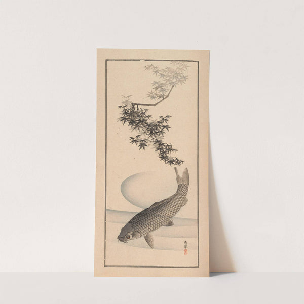 Shūbi gakan, Pl.10 by Nanbara Sakujirō