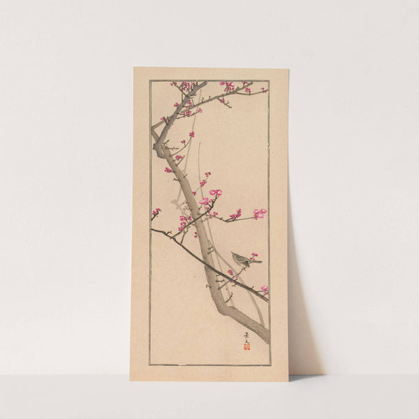 Shūbi gakan, Pl.15 (1889) by Nanbara Sakujirō