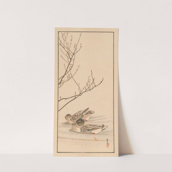 Shūbi gakan, Pl.25 (1889) by Nanbara Sakujirō