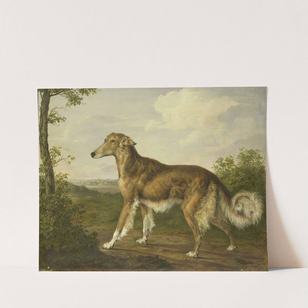 Siberian Greyhound by Jan Dasveldt
