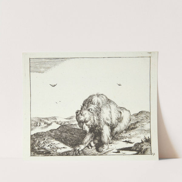 Siddende bjørn, set forfra by Marcus de Bye