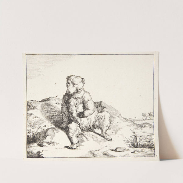 Siddende bjørn, set forfra by Marcus de Bye