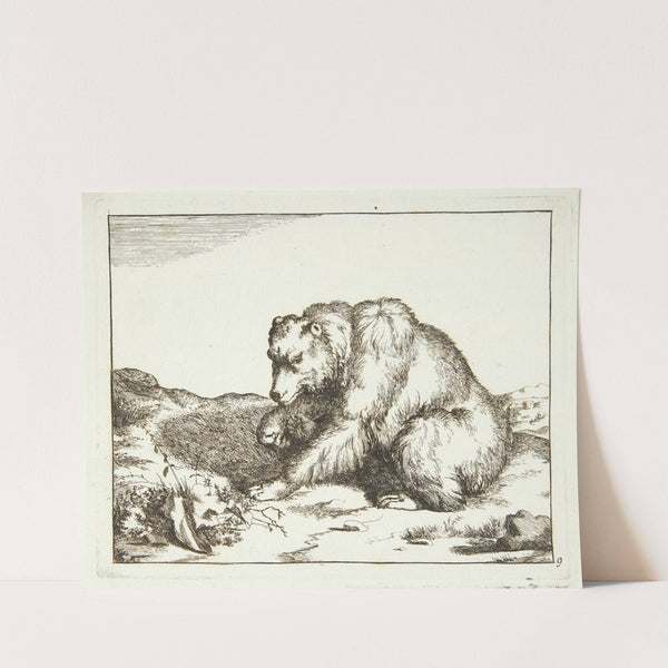 Siddende bjørn, vendt mod venstre by Marcus de Bye