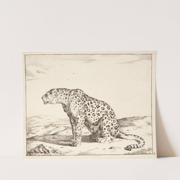 Siddende hunleopard, vendt mod venstre by Marcus de Bye