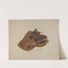 Side Saddle by Sydney Roberts