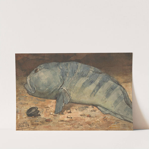 Side View of a Fish by Willem Witsen