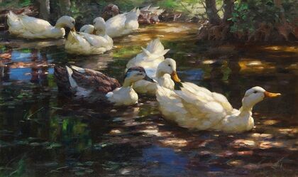 Sieben Enten im schattigen Waldteich