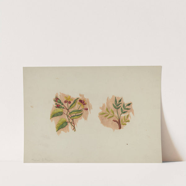 Silk Petticoat (Fragment) by Manuel G. Runyan