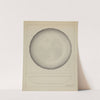 Silver Bowl by Giacinto Capelli