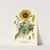 Silver-leaved Sunflower (1896-1897) by Edward Step