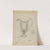 Silver Pitcher by D. Brandfield