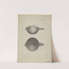 Silver Punch Strainer by John R. Towers