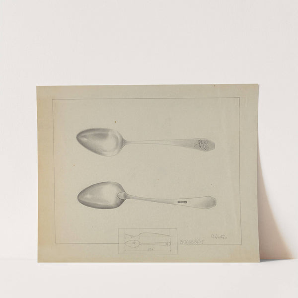 Silver Spoon by Charlotte Winter